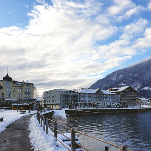 男男av在线观看
