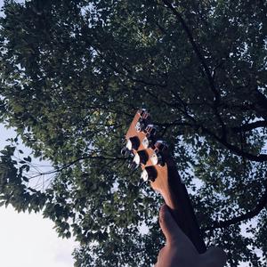 男男av在线观看
